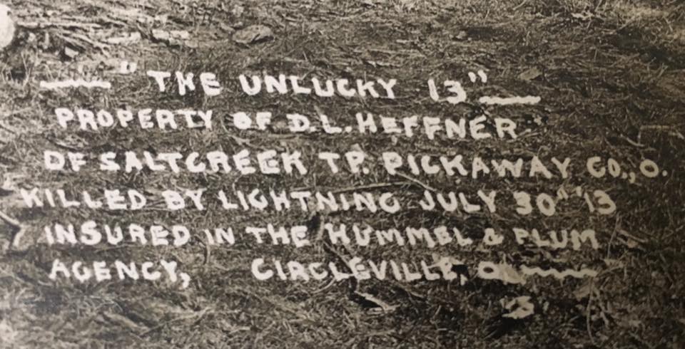 The Unlikely 13 were cattle that were struck by lightening back in 1913 that were insured by then Hummel and Plum Agency.